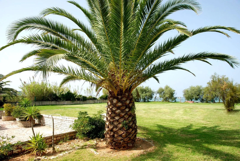 S&C Kosmos Beach Resort