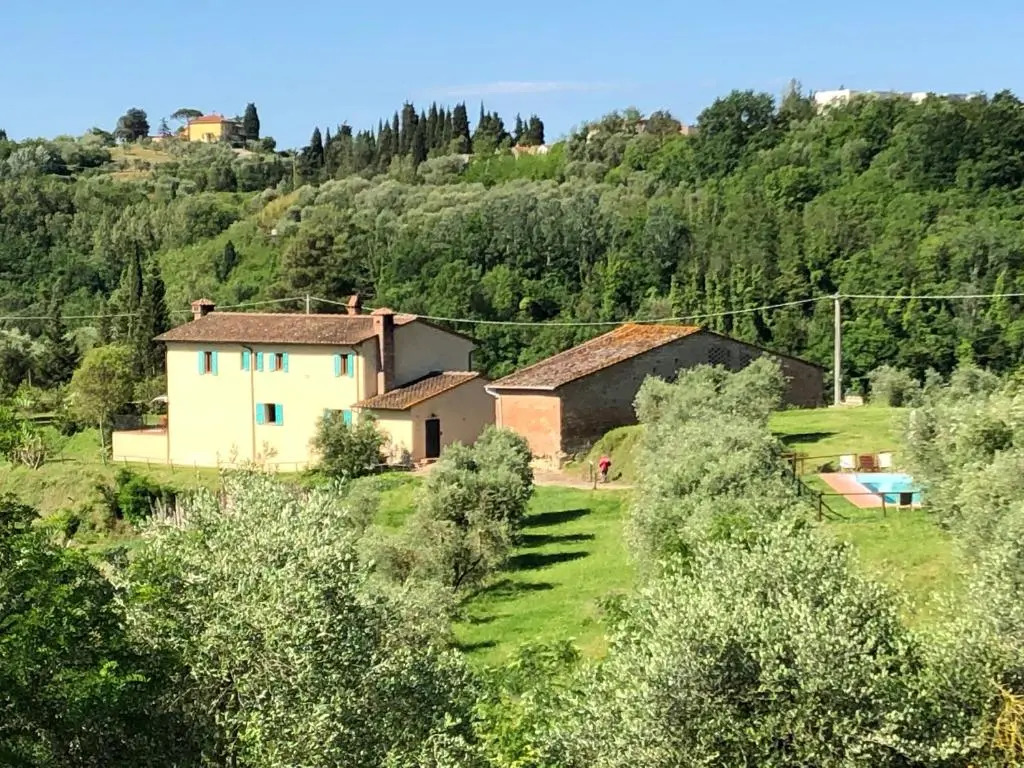 Podere lUlivo