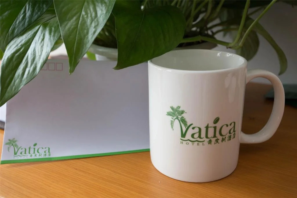 Vatica TianJin JingHai District Bus Station Home World Plaza Hotel
