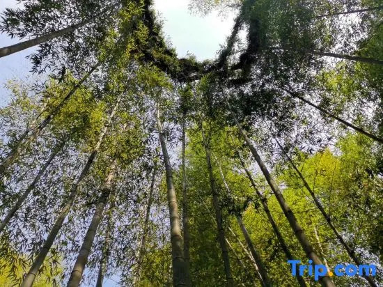 Zizai Pingjiang Wild Luxury Resort