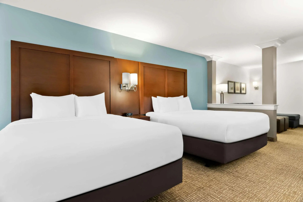 Comfort Suites Rensselaer near Fair Oaks