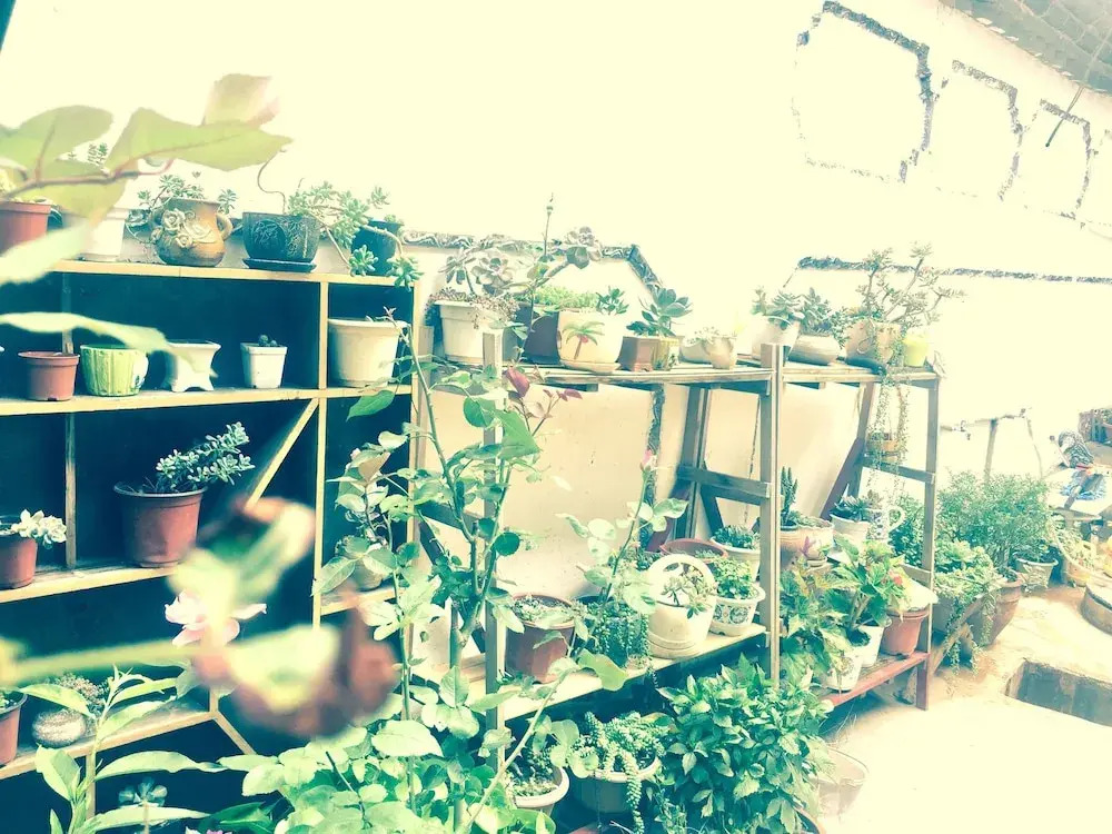 Guisu Boutique Hostel