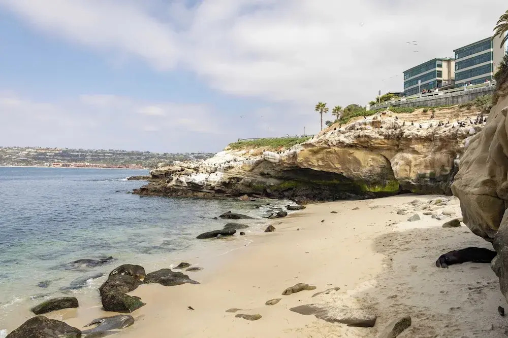 La Jolla Living by Avantstay A+ Location Private Backyard Lounge