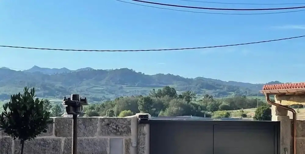 Cepas Da Cuenga