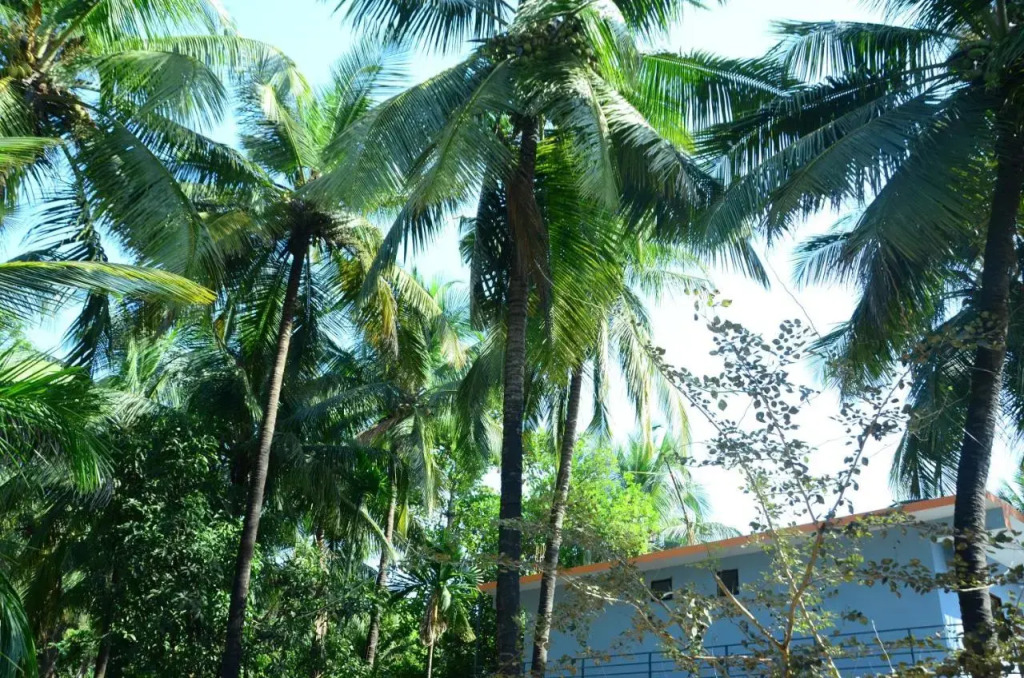 1 BR Guest house in Near Kashid Beach, kashid, by GuestHouser (E53A)
