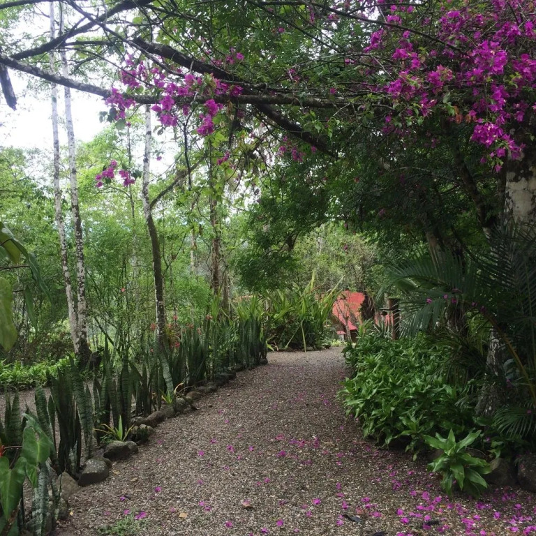 Samai Lodge Holistic Living