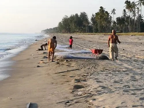 Ala Beach Lodge