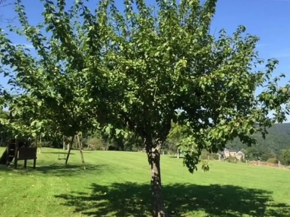 Spacious villa near Lesse
