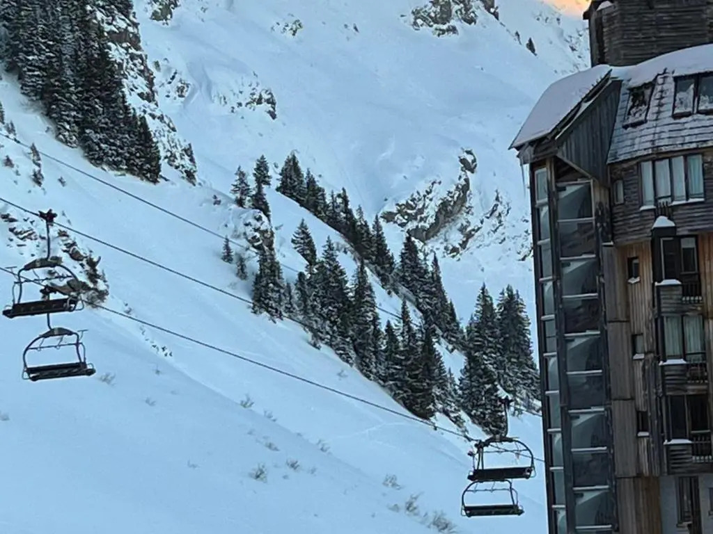 Appartement Avoriaz, 4 pièces, 8 personnes - FR-1-633-13