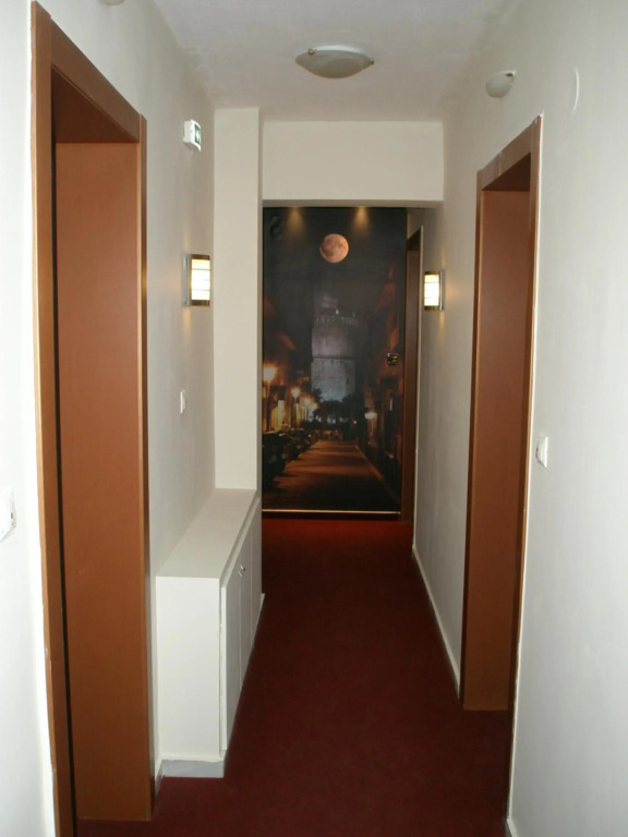 Lion Apartment