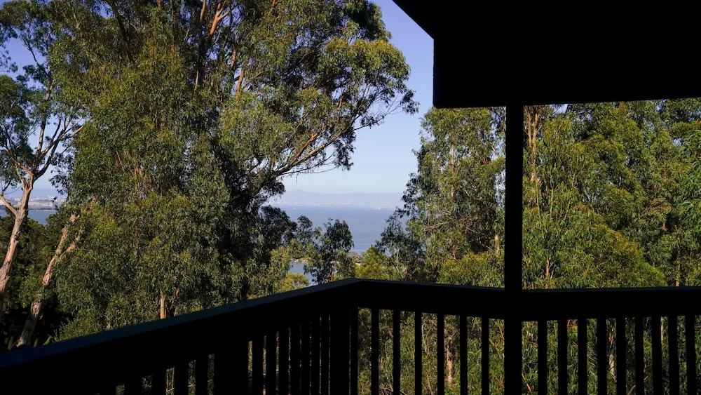 Marbella Lane Eco Friendly Treehouse SFO