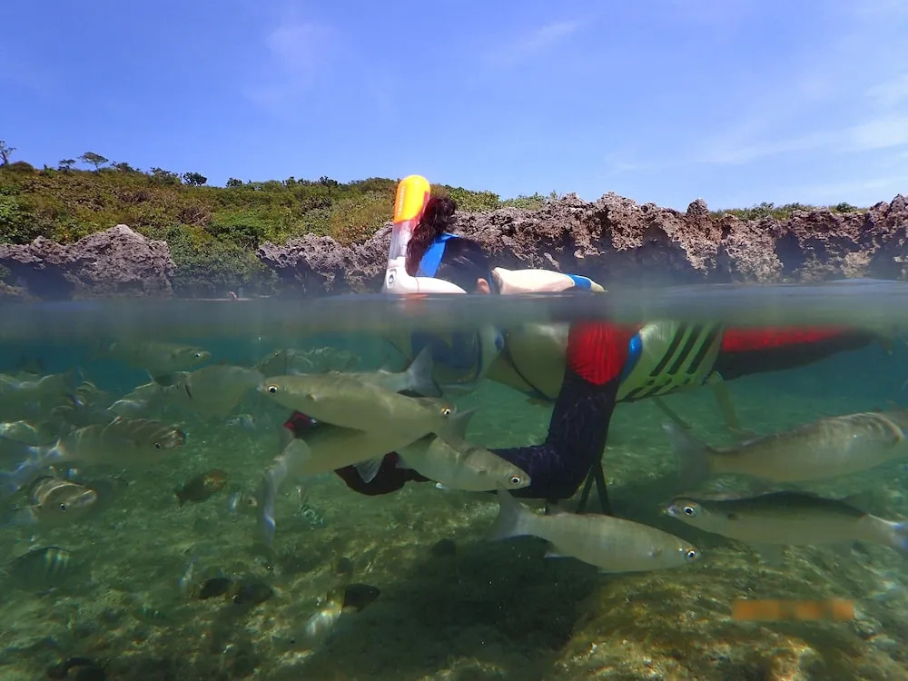 Kenting Mola