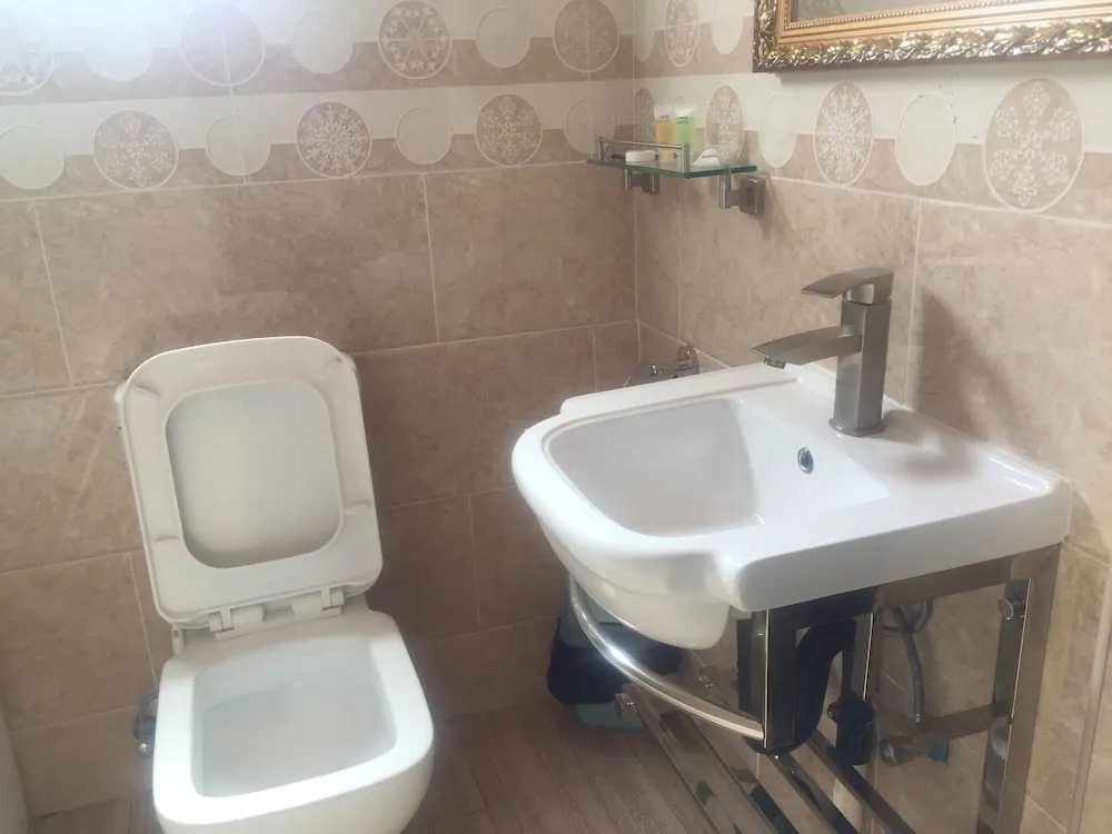 Apelles Palace Guest House