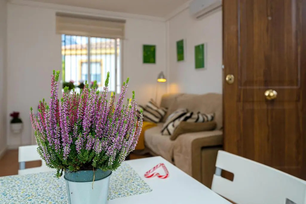 Apartamento Ponoch