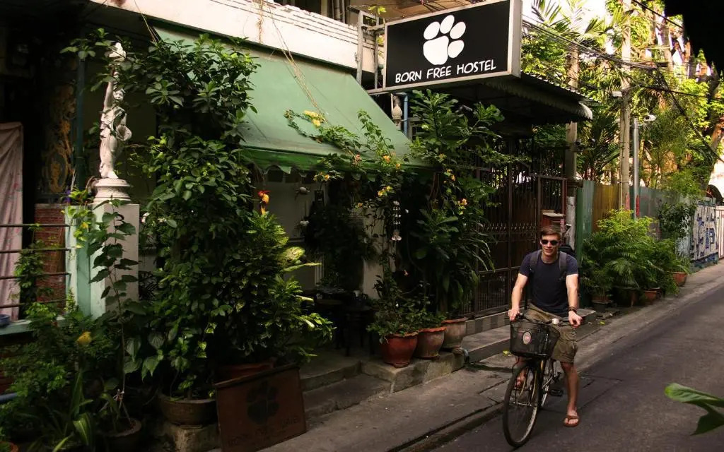 Born Free Hostel