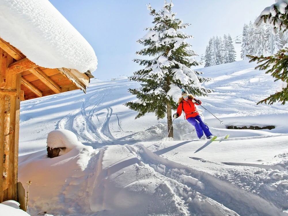 Apartment in Northern Alps With Skiing Nearby