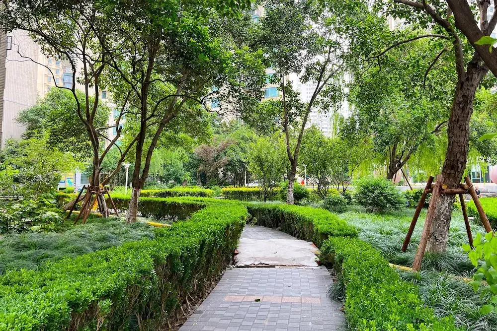 Tyms Xujiahui  Stylish 1BR APT