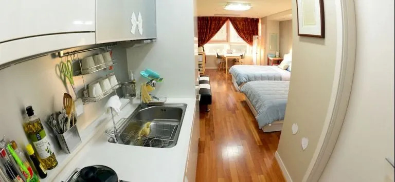 Gwanghwamun Luxury Studio Condo