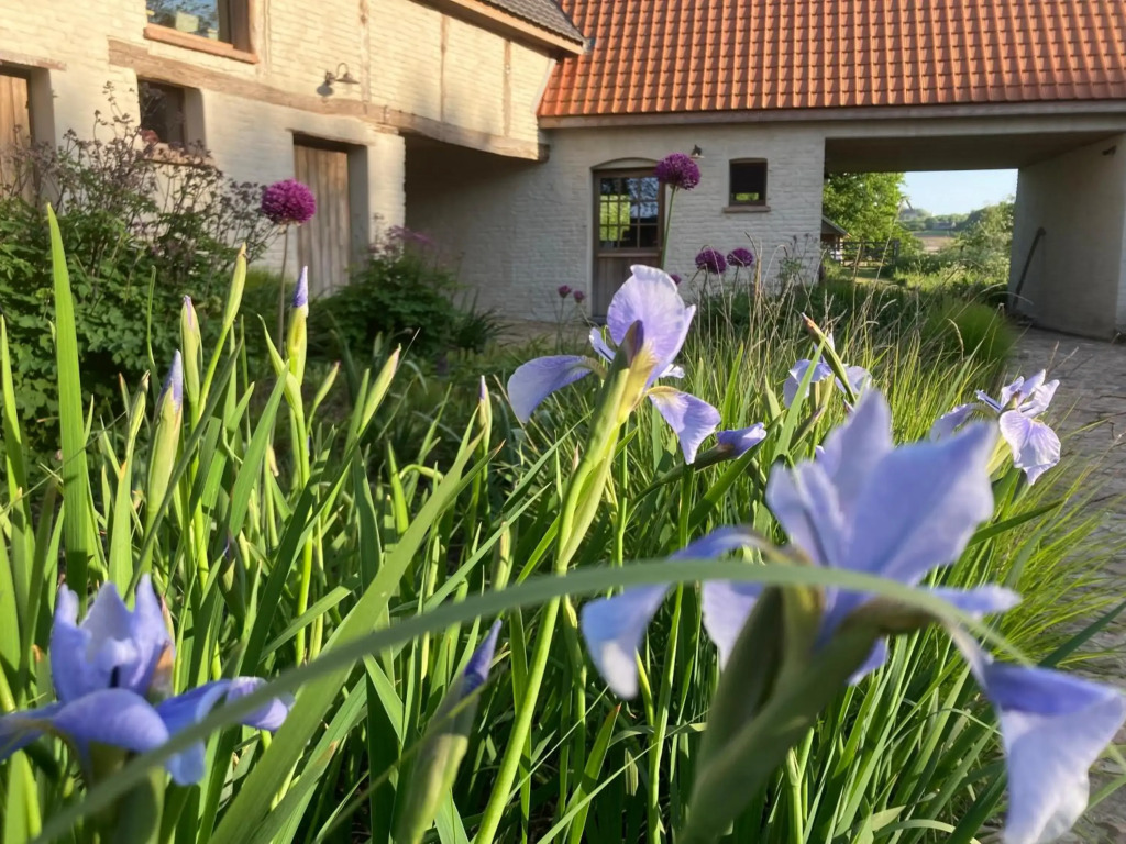 Nachtegael Hoekhuis, knusse woning tussen legendarische heuvels