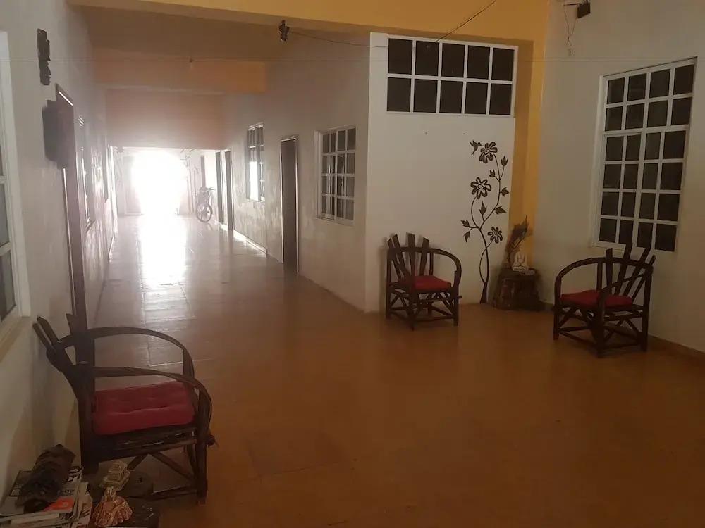Cedro Tulum