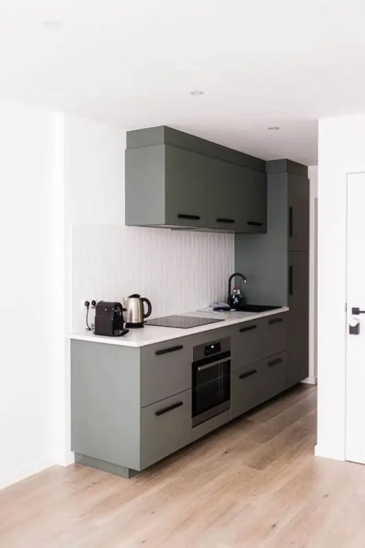 Gorgeous Apartment in old City Centre of Antwerp 1