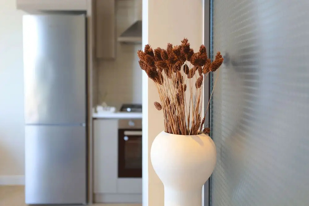 Kaktus Suites