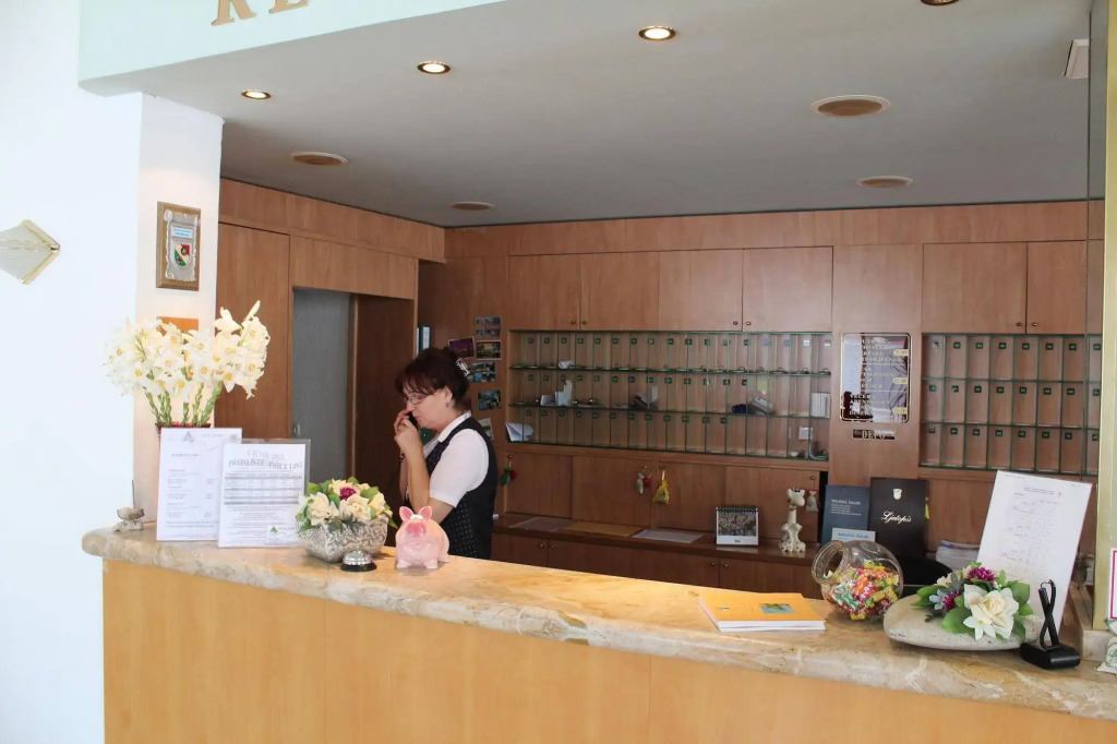 Hotel Borovnik