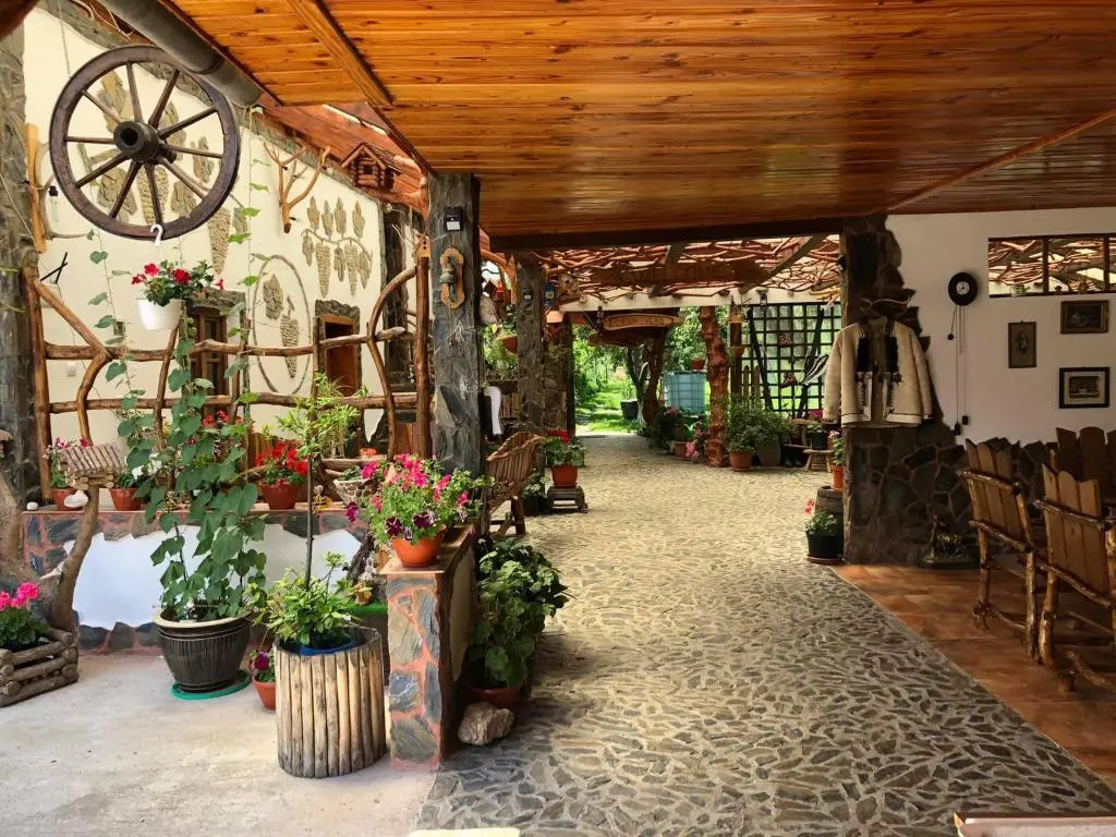 Casa Vlad