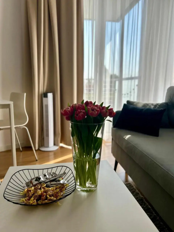 APARTAMENTY MIERZEJA - PRZY MARINIE, 100m od Zalewu Wiślanego, Kąty Rybackie, Bezpłatny Meleks