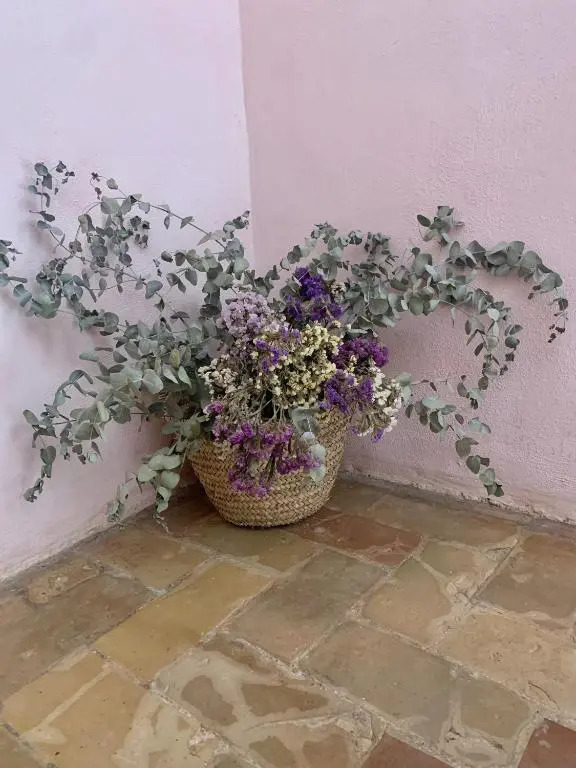 Patios del Agua