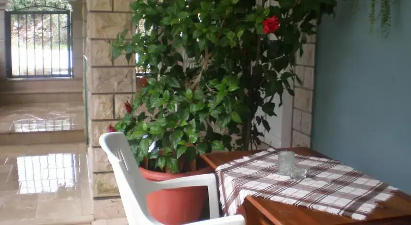 Apartments Sofka