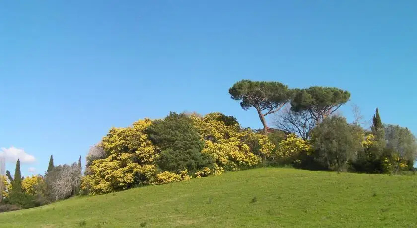 Casale del tiglio