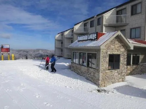 Snowshoe Condo Unit 333