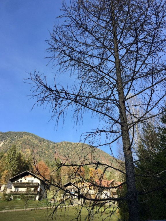 Obertrauner Hof