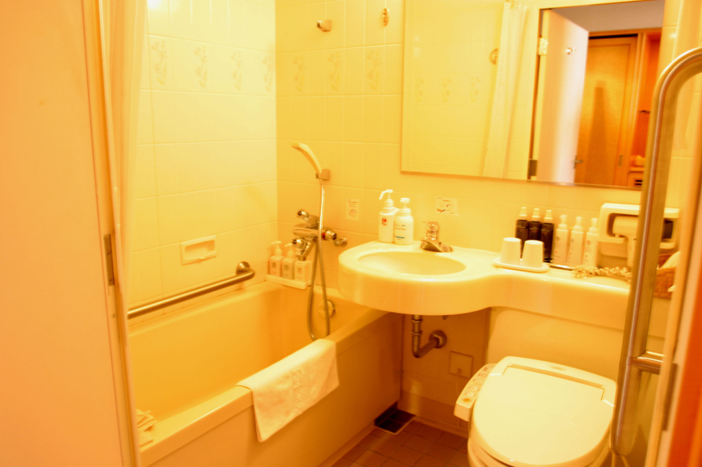 Hotel Wakamizu