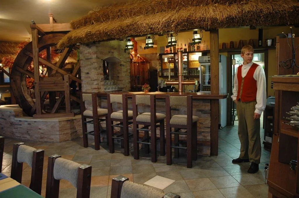 Hotel Jelínkova vila