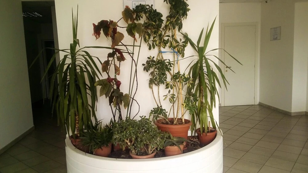Apartment Largo Giuseppe Saragat