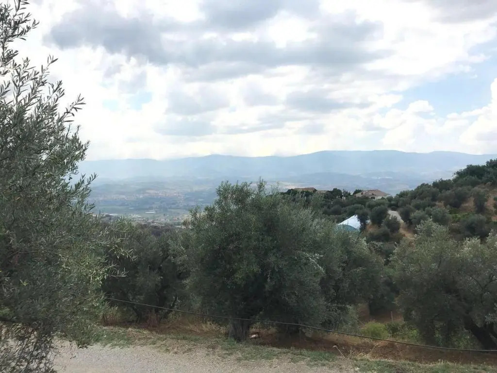 Agriturismo Pingitore