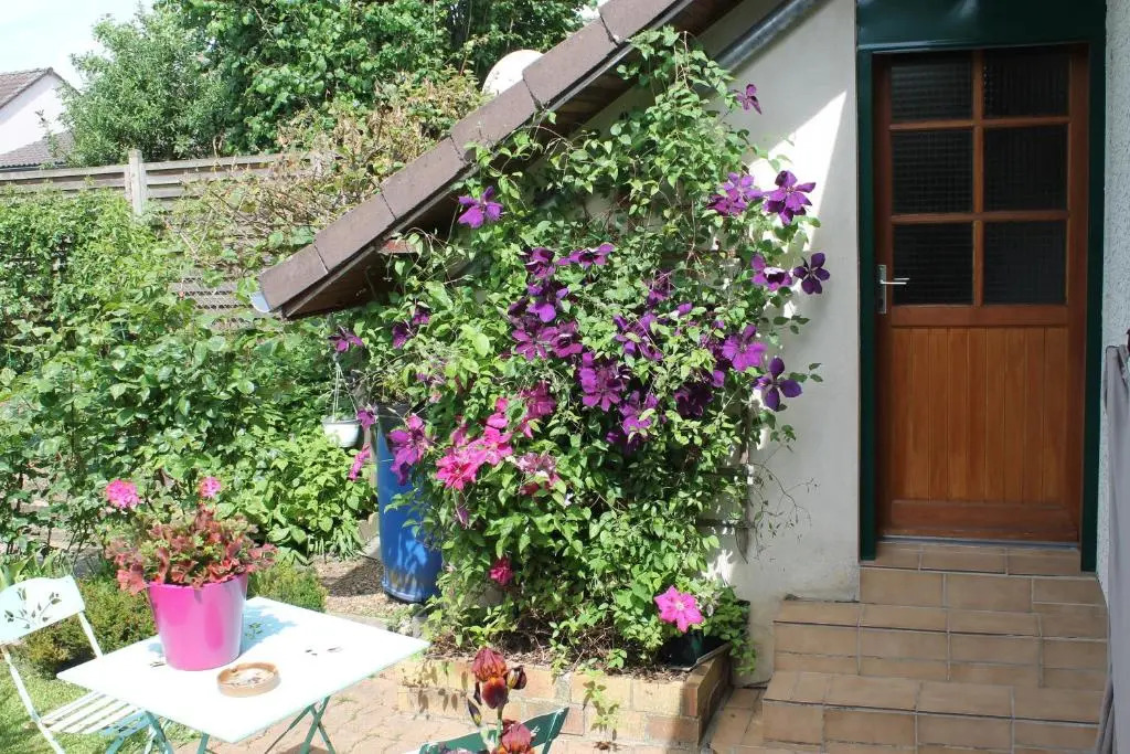 Chambre dHôtes "Orchidees"
