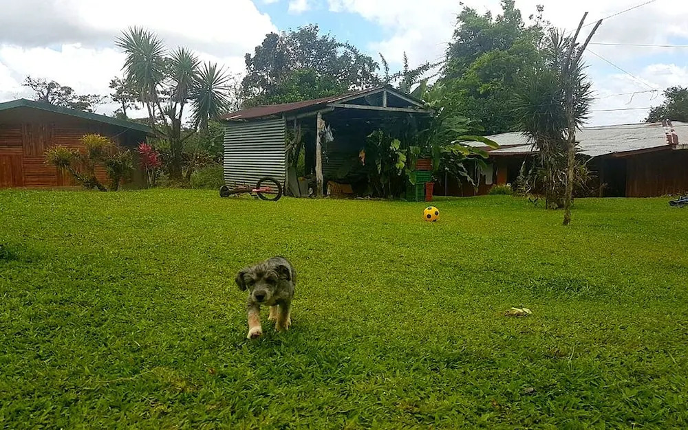 Tío Felix Eco Lodge