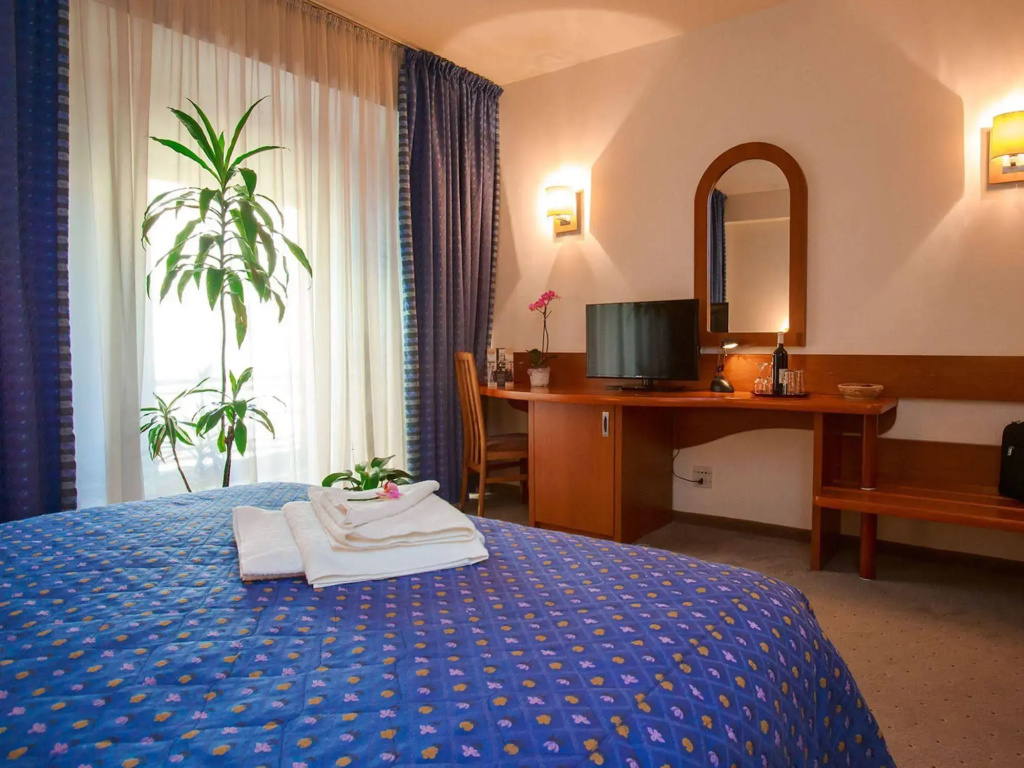 Hotel Irisa