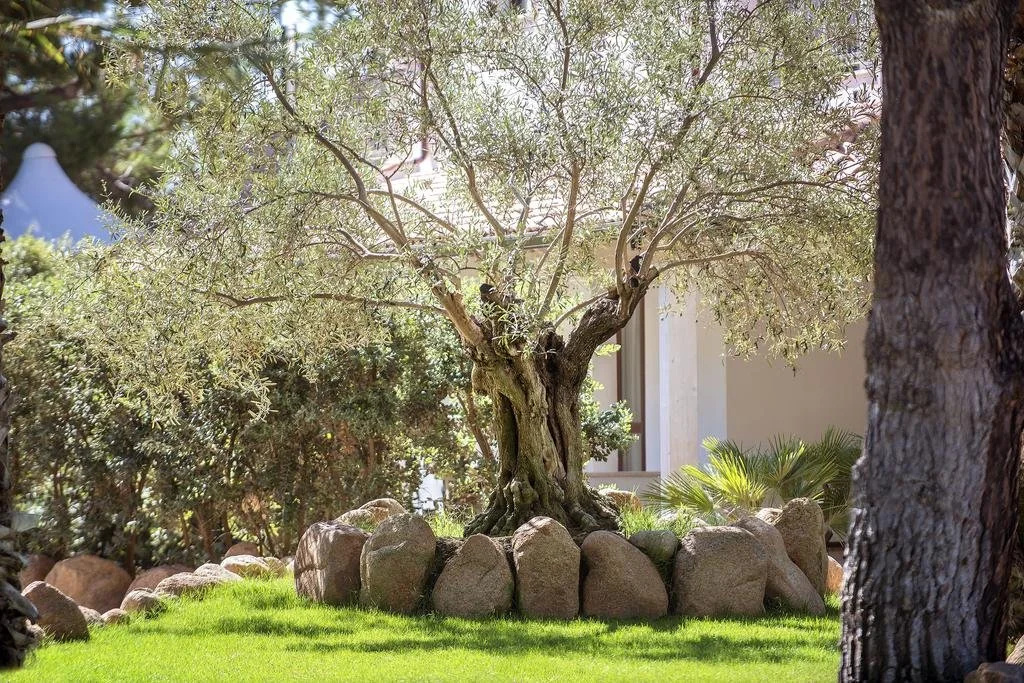 Villa Del Borgo Hotel Relais