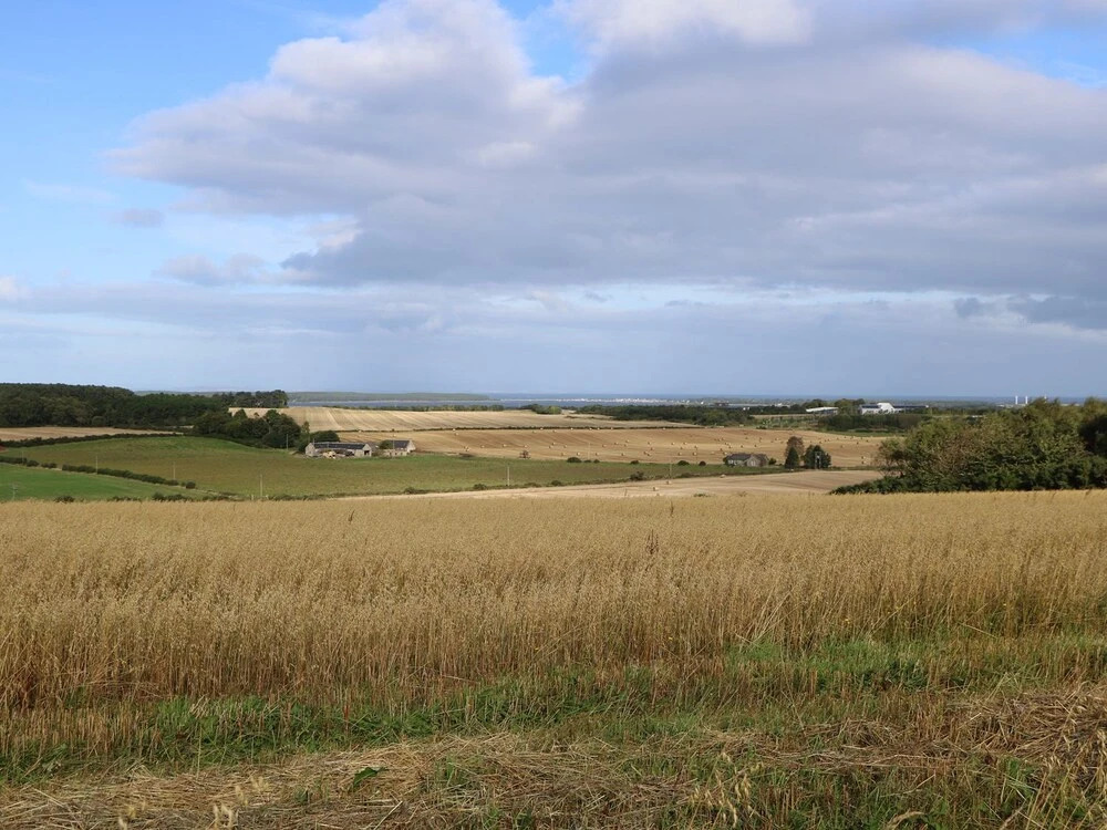 Pindlers Croft