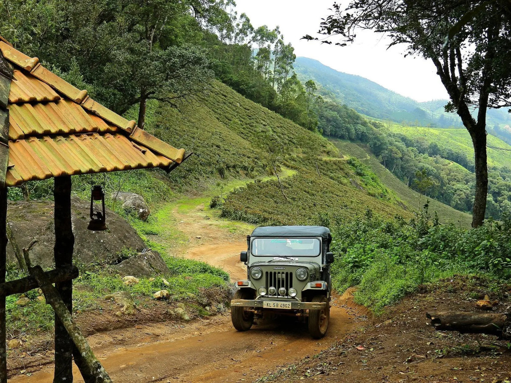 Nature Zone Jungle Resort- Experience the Wilderness & Adventure