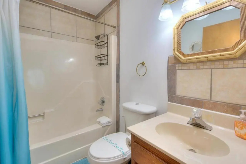 The Shore Delight