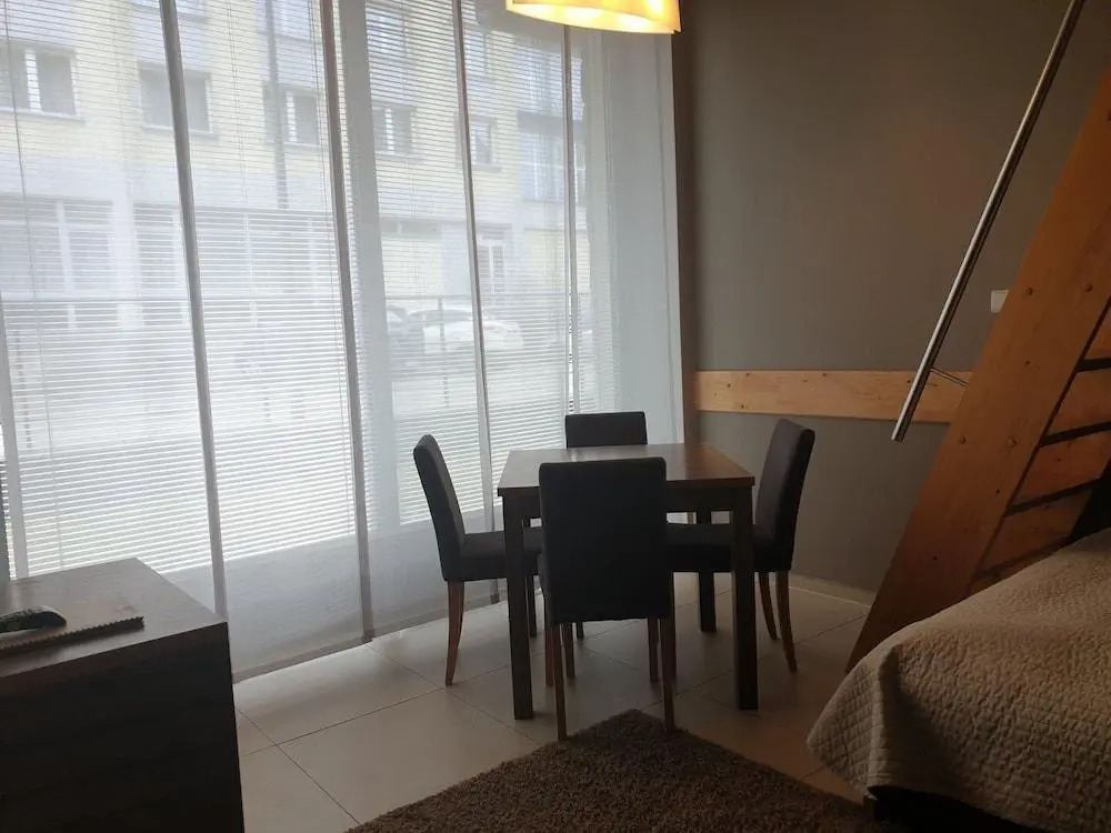 Brzoza w centrum Zakopanego