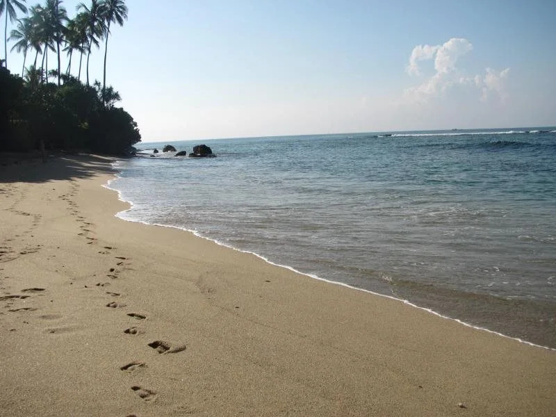 OceanLife Surf Stay at Horizon Inn
