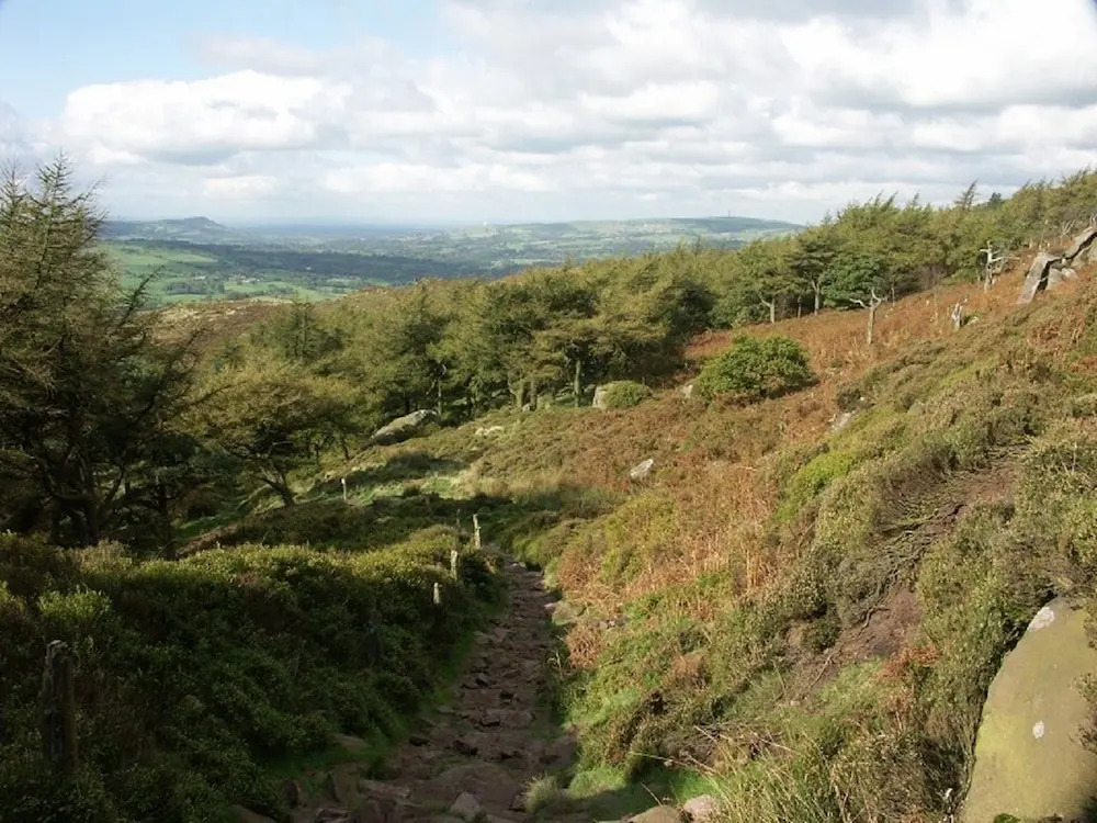Roaches Cottages