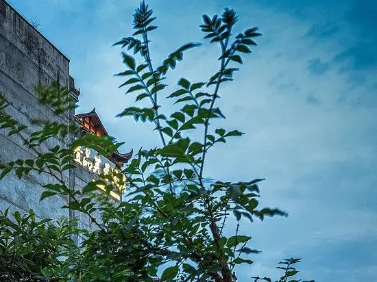 Yipin Furong Hotel