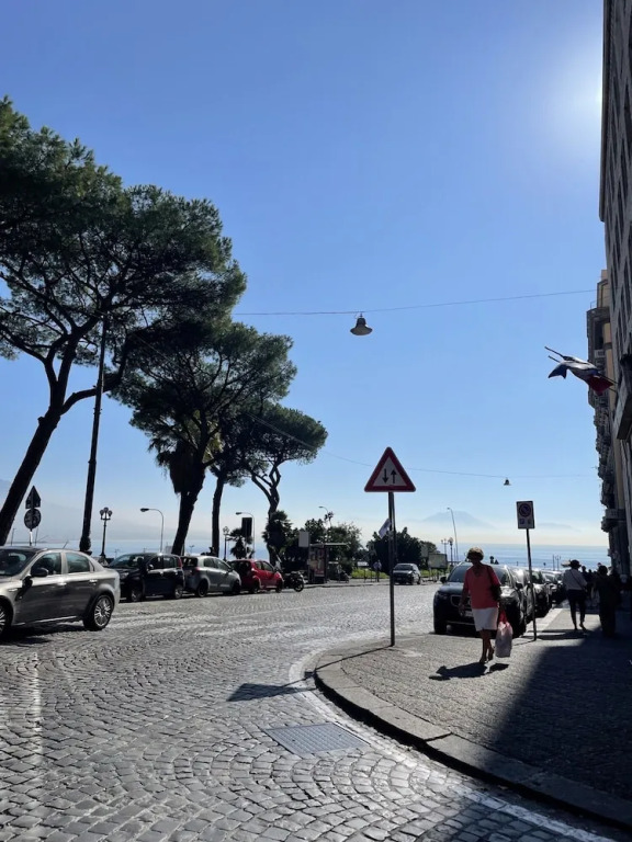 Apartment 200 m From Piazza del Plebiscito